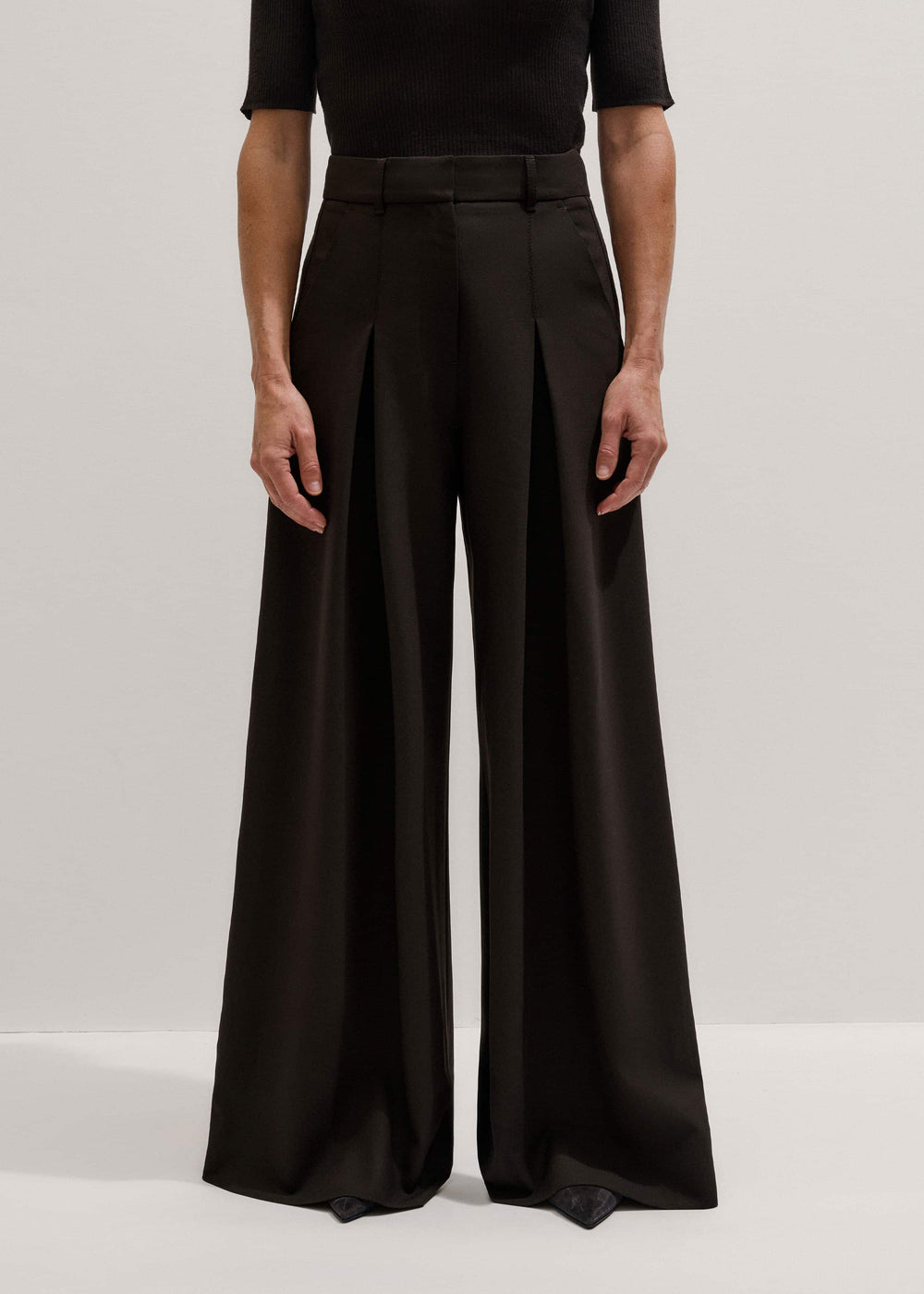 Brown Wool Ultimate Pleat-Front Wide-Leg Pant meandem
