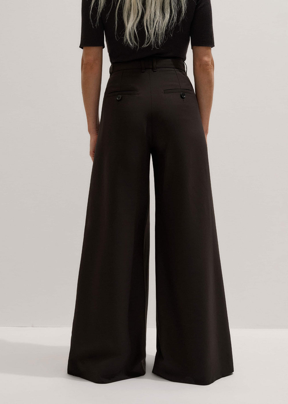 Brown Wool Ultimate Pleat-Front Wide-Leg Pant meandem