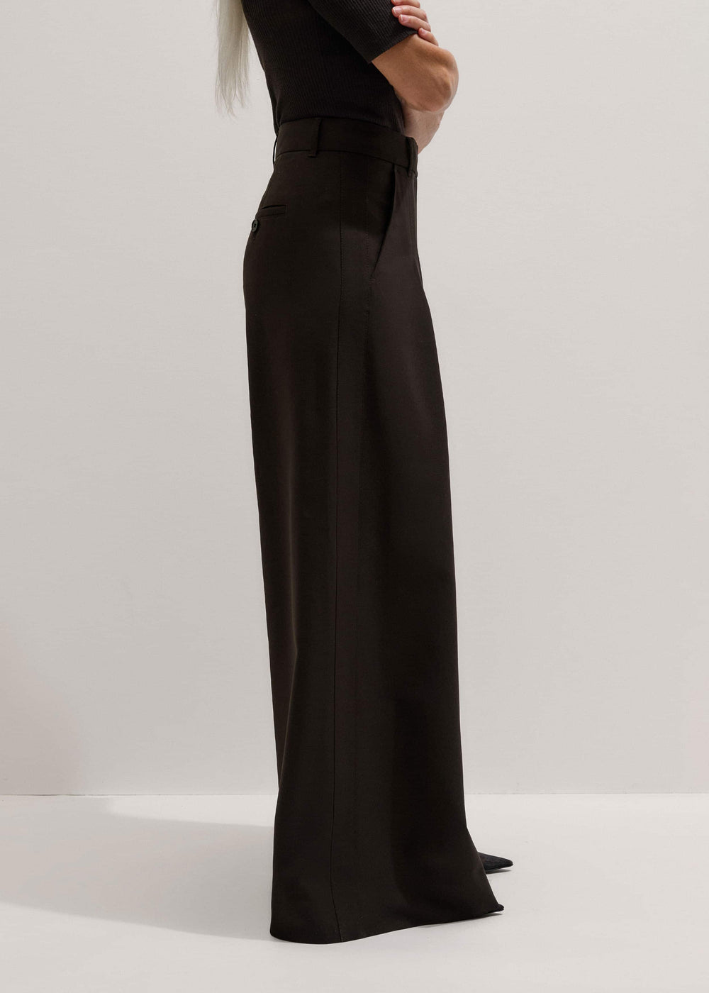 Brown Wool Ultimate Pleat-Front Wide-Leg Pant meandem