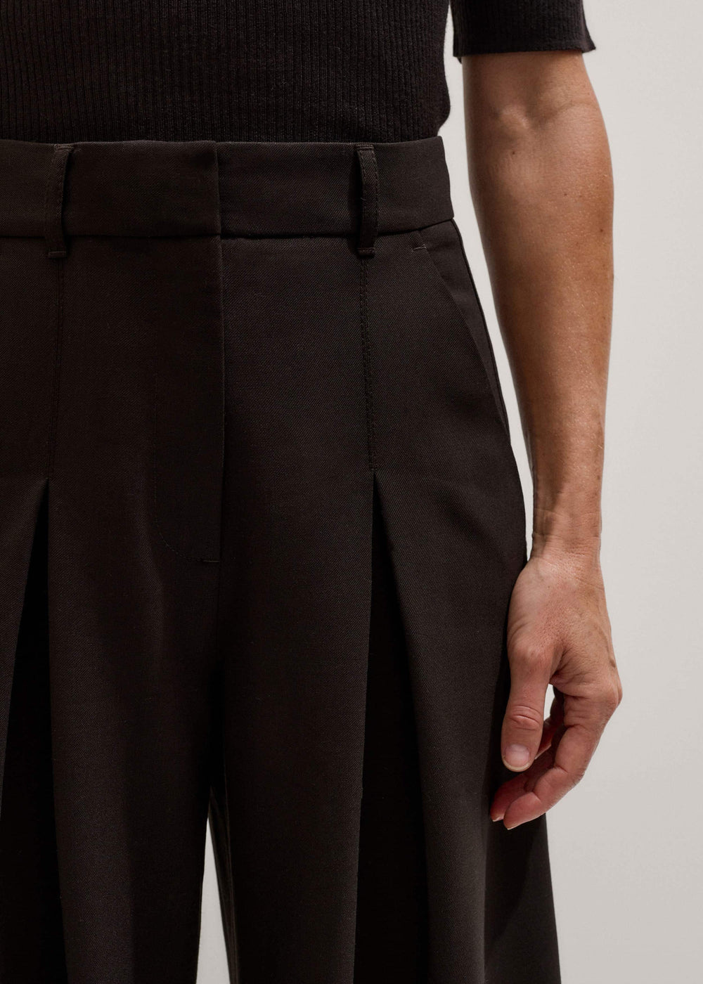 Brown Wool Ultimate Pleat-Front Wide-Leg Pant meandem