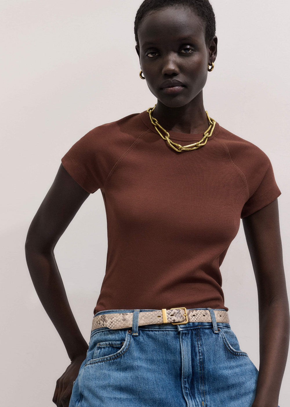 Cinnamon Brown Ultimate Raglan Tee meandem