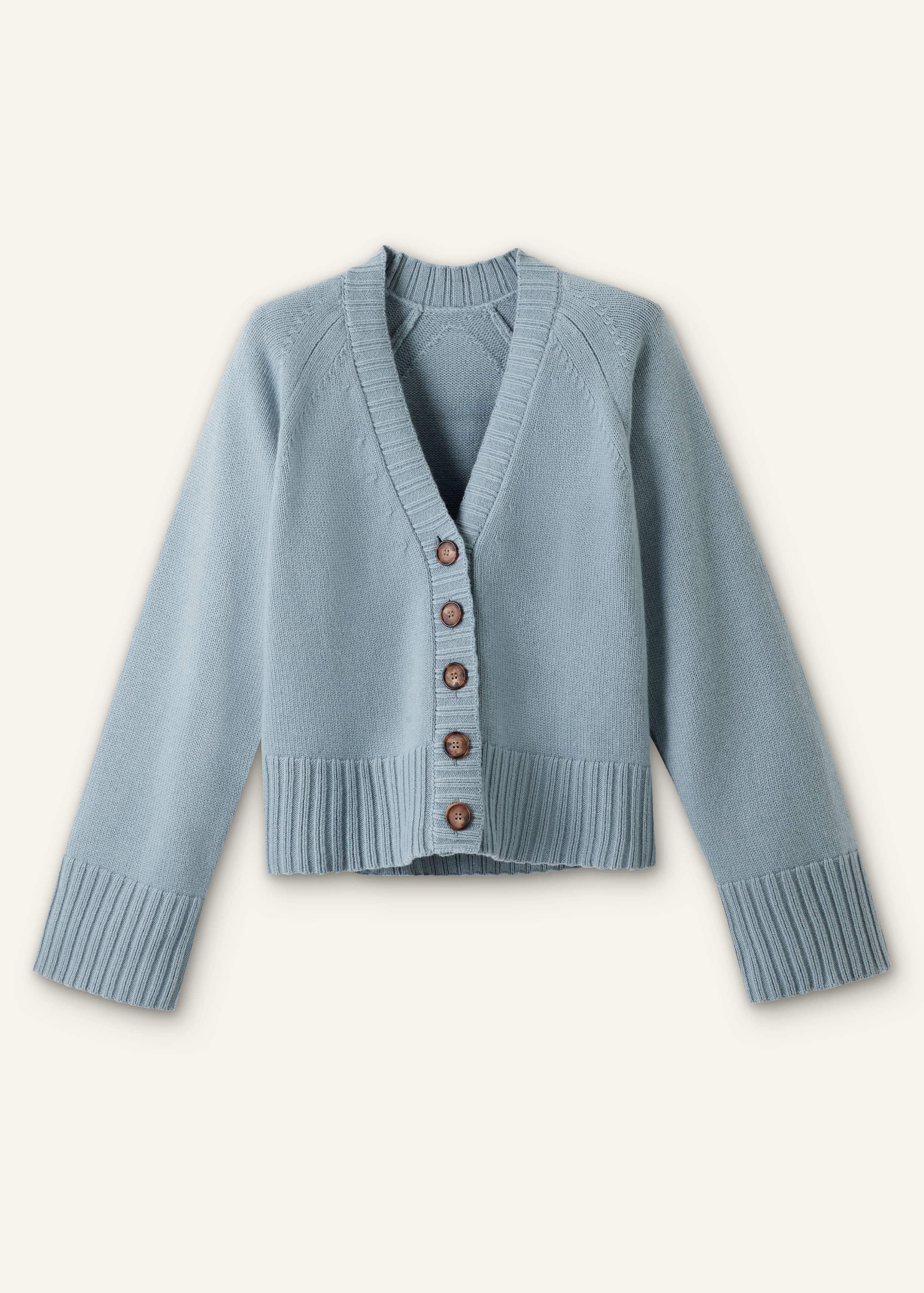 Blue V-Neck Relaxed Raglan Cardigan meandem