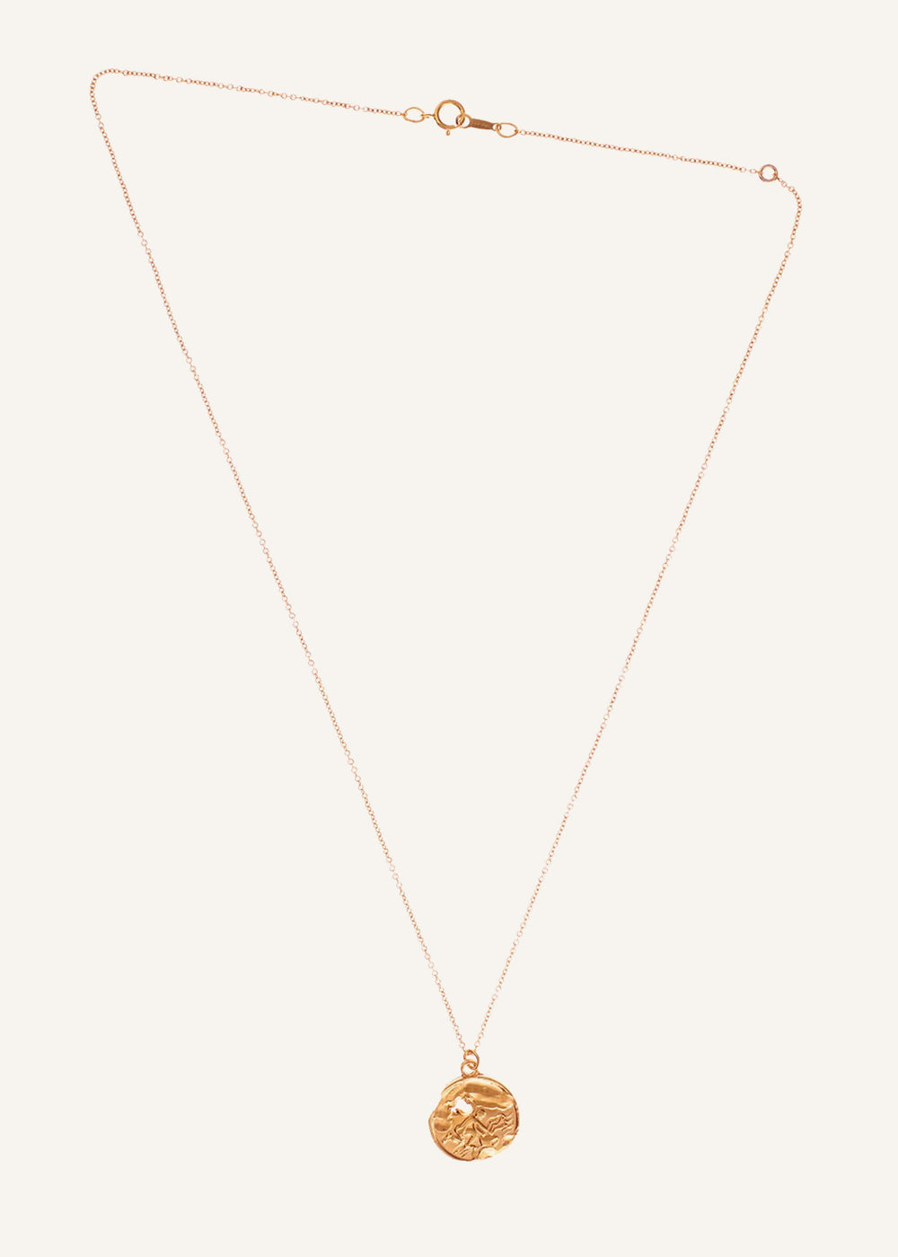 Gold Aquarius Necklace meandem